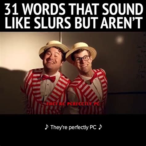 31 words that sound like slurs|examples of insulting words.